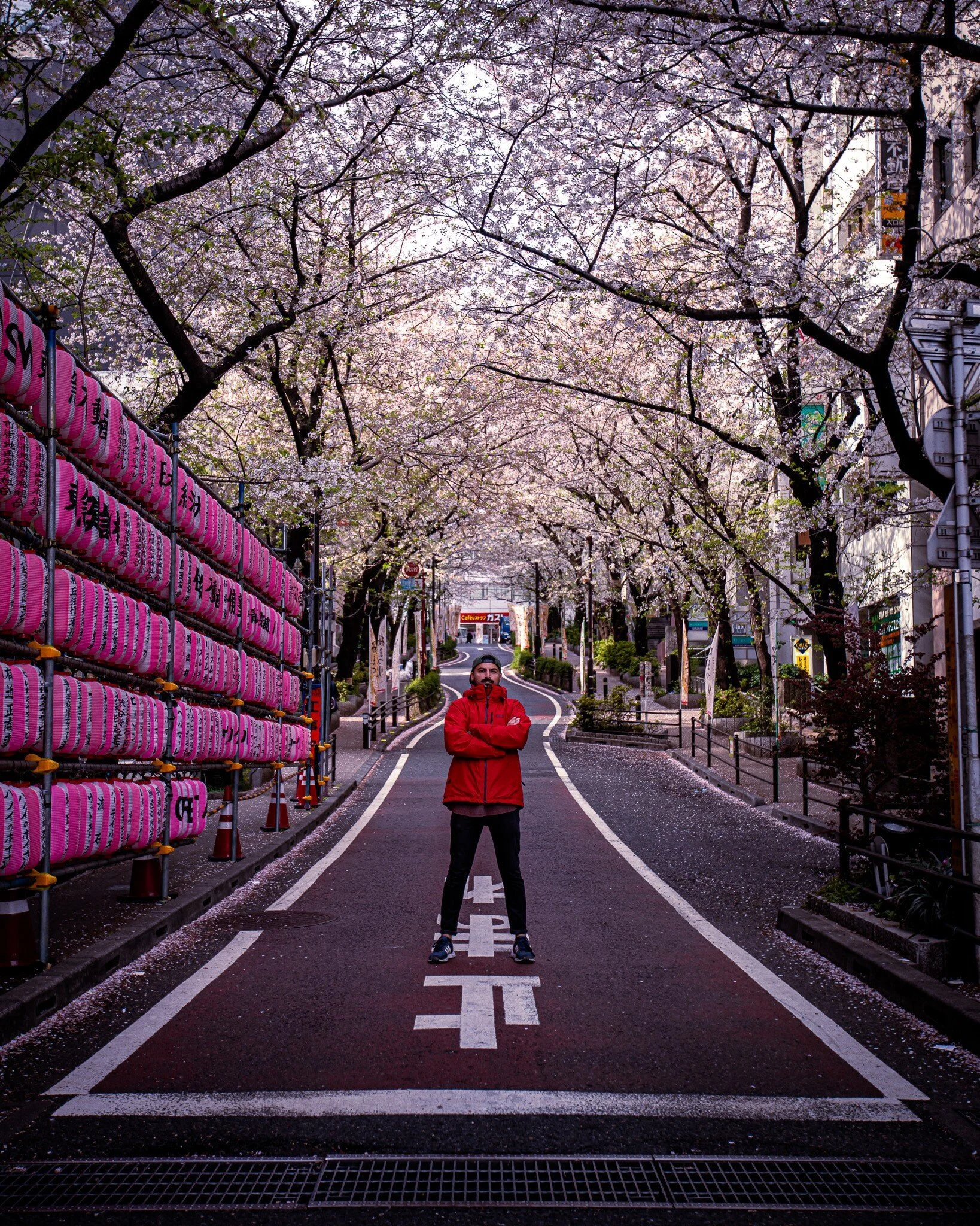 The 5 Worst Spots for Cherry Blossom in Japan — aavaaraneil • Solo